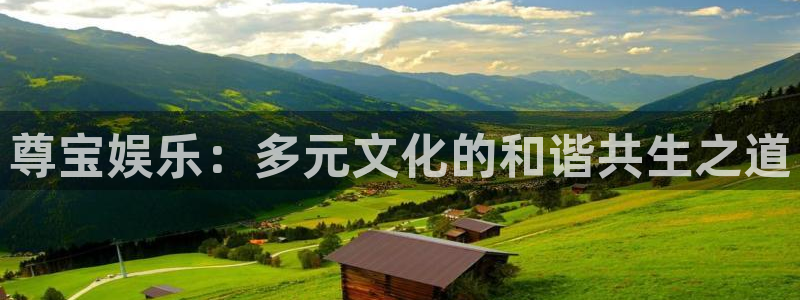 yy易游vip：尊宝娱乐：多元文化的和谐共生之道