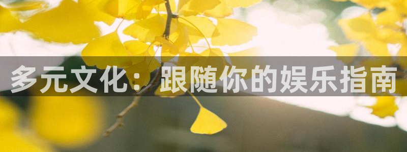 米乐yy易游m6网址：多元文化：跟随你的娱乐指南