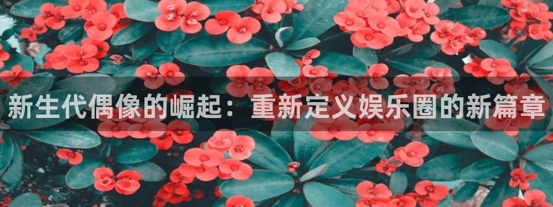 yy易游平台：新生代偶像的崛起：重新定义娱乐圈的新篇章